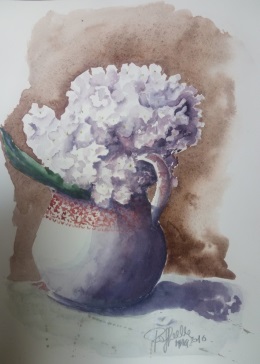 Hydrangea