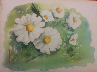 Margherite d'autunno